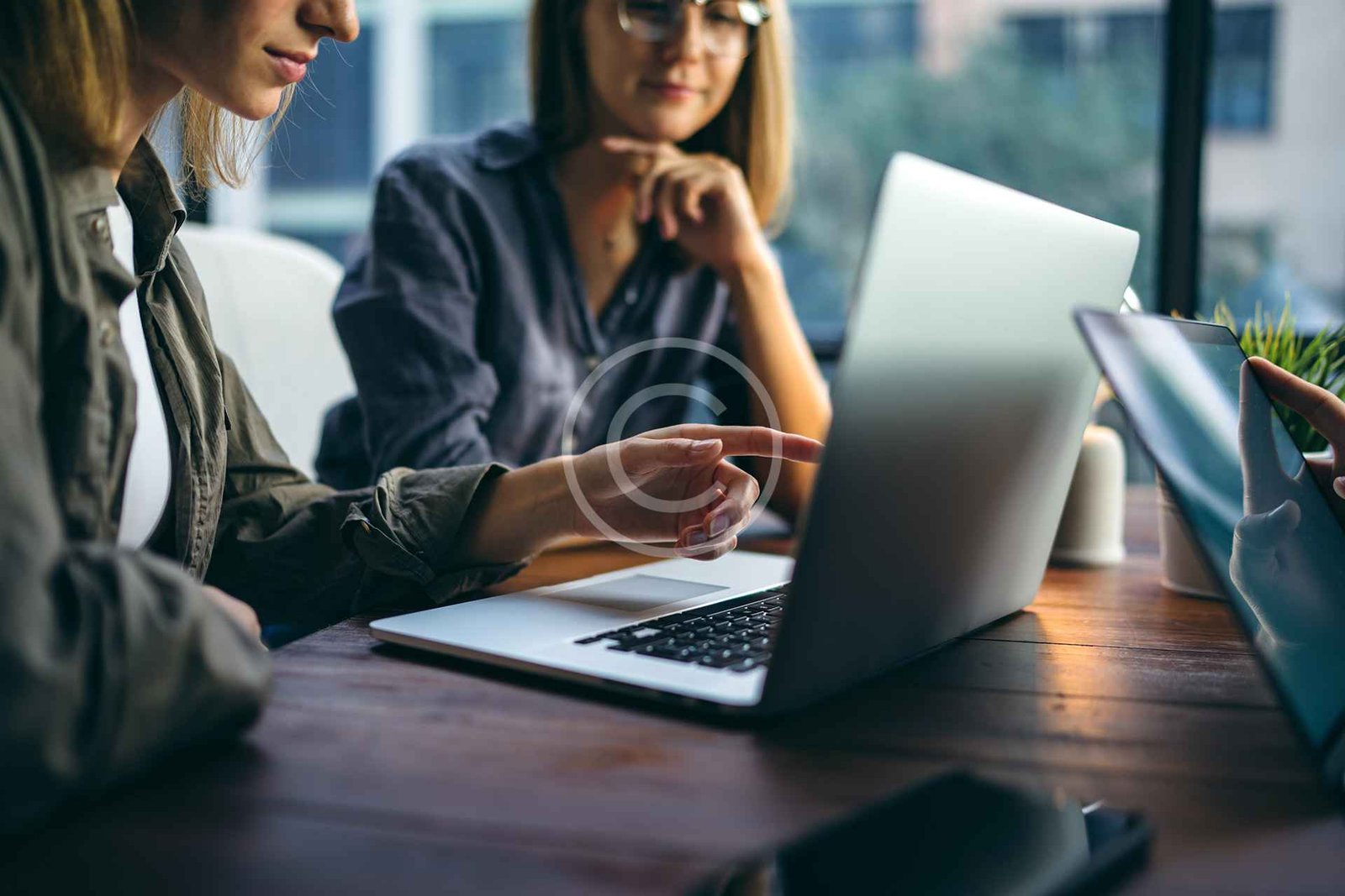 Affiliate Program